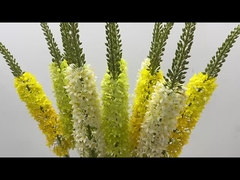 Dekorasyon Tilki Kuyruk Çim Simülasyon Çiçek Ev Oturma Odası At Kuyruklu Çiçek Uçan Kırlangıç Çim Fl