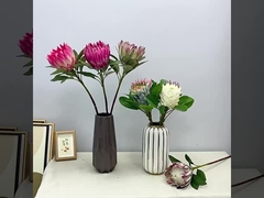 Bahar renk simülasyonu kral çiçek çekim sahnesi imparator çiçek ev sahte çiçek dekorasyonu düğün