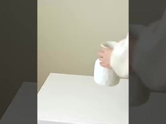 Simülasyon 8 küçük sakız, gerçek ve sahte sakız taklit, ev dekorasyonu, düğün, s