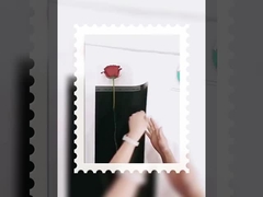 Tanrıça tek küçük buket ambalaj şeffaf Opp su geçirmez film sarılmış çiçek kağıdı diy mate