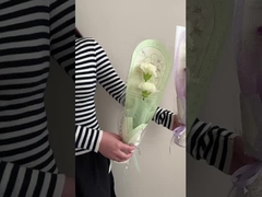 Tek çanta bitmiş çiçekler, gül buketleri, Sevgililer Günü ve Öğretmenler Günü hediyeleri en iyi f