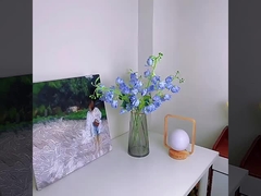 Yapay çiçekler, sürüler, Phalaenopsis, yapay çiçekler, ipek çiçekleri, ev gösteri çiçekleri