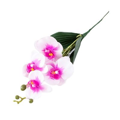satın al Simülasyon çiçek dört başlı Phalaenopsis ev yumuşak dekorasyon küçük dal Phalaenopsis dekorasyon 3D yapıştırıcı dokunuş yapay çiçek sınırların ötesinde iyi satılıyor Çevrimiçi üretim