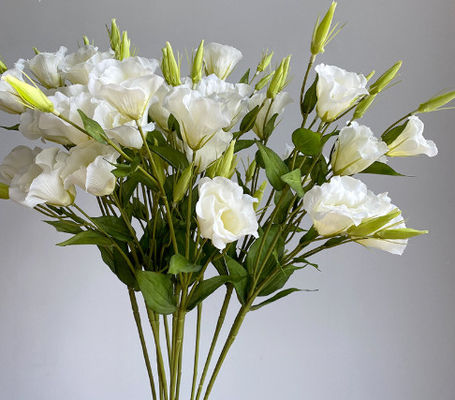 İyi bir fiyat. 3 adet taklit Campanula çiçeği, ev dekorasyonu süsleri, ipek çiçekleri, fotoğraf aletleri, düğün rehberleri, manzara, sahte çiçek buketleri çevrimiçi