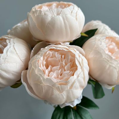İyi bir fiyat. 7 başlı çekirdekli peony simülasyon buketi düğün çiçeği malzemesi peony peony düğün salonu simülasyon çiçeği çevrimiçi