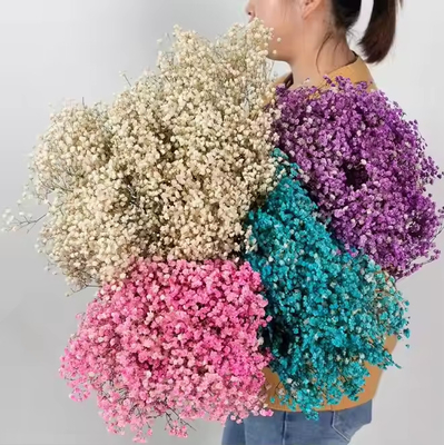İyi bir fiyat. 100g Kurutulmuş Çiçek Yapay Buket Bebek Nefesi Gypsophila Çiçek Düğün Dekoru Merkezi çevrimiçi