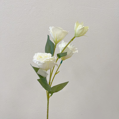 İyi bir fiyat. Delphinium yapay çiçekleri, sahte çiçekler, düğün çiçek sanat düzenlemeleri, ipek çiçekleri, oturma odası ve yemek masası dekorasyonları ve fotoğraf eşyaları toptan satılıyor. çevrimiçi