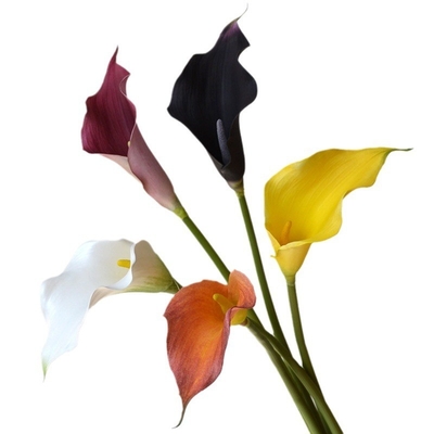 İyi bir fiyat. Büyük boyutlu calla zambaklarının, EVA yapay çiçeklerinin, yapay çiçeklerin, yumuşak kauçuk düğün buketlerinin ve ev dekorasyonlarının sınır ötesi toptan satışı çevrimiçi