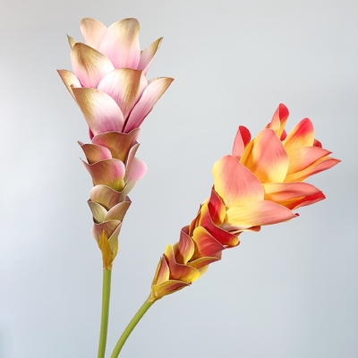 İyi bir fiyat. Simülasyon Çiçekleri, Zencefil Çiçekleri, Lotus Çiçekleri, 3D Baskı, Dokusuz Çiçekler, Ev Dekoru, Model Oda Dekorasyonu, Düğün Sahnesine Gereksinimler, Buket çevrimiçi