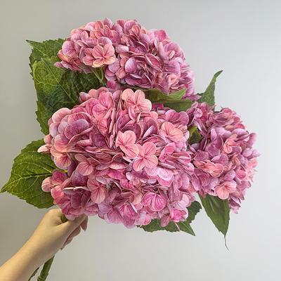 İyi bir fiyat. Biyomimetik hortensia çiçekleri, simülasyon çiçekleri, nemlendirici dokunuş, hortensia buketi, oturma odası yemek masası dekorasyonu, düğün çiçek düzenleme dekorasyonu çevrimiçi