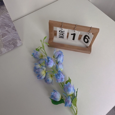 Yapay çiçekler, sürüler, Phalaenopsis, yapay çiçekler, ipek çiçekleri, ev gösteri çiçekleri, düğün süslemeleri, vadinin zambakları, rüzgar çanları çiçekleri